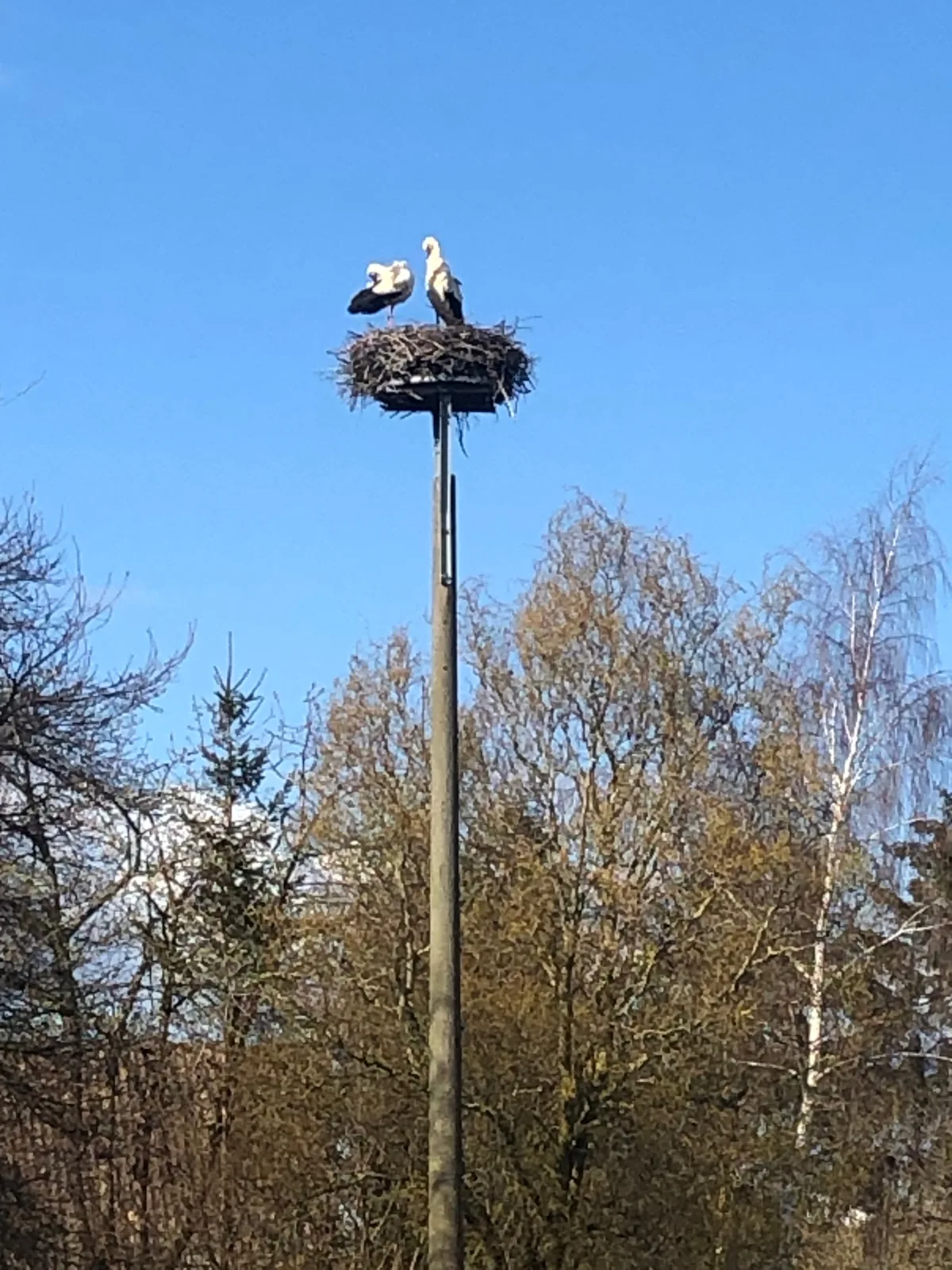 Ferienwohnung am Storchnest
