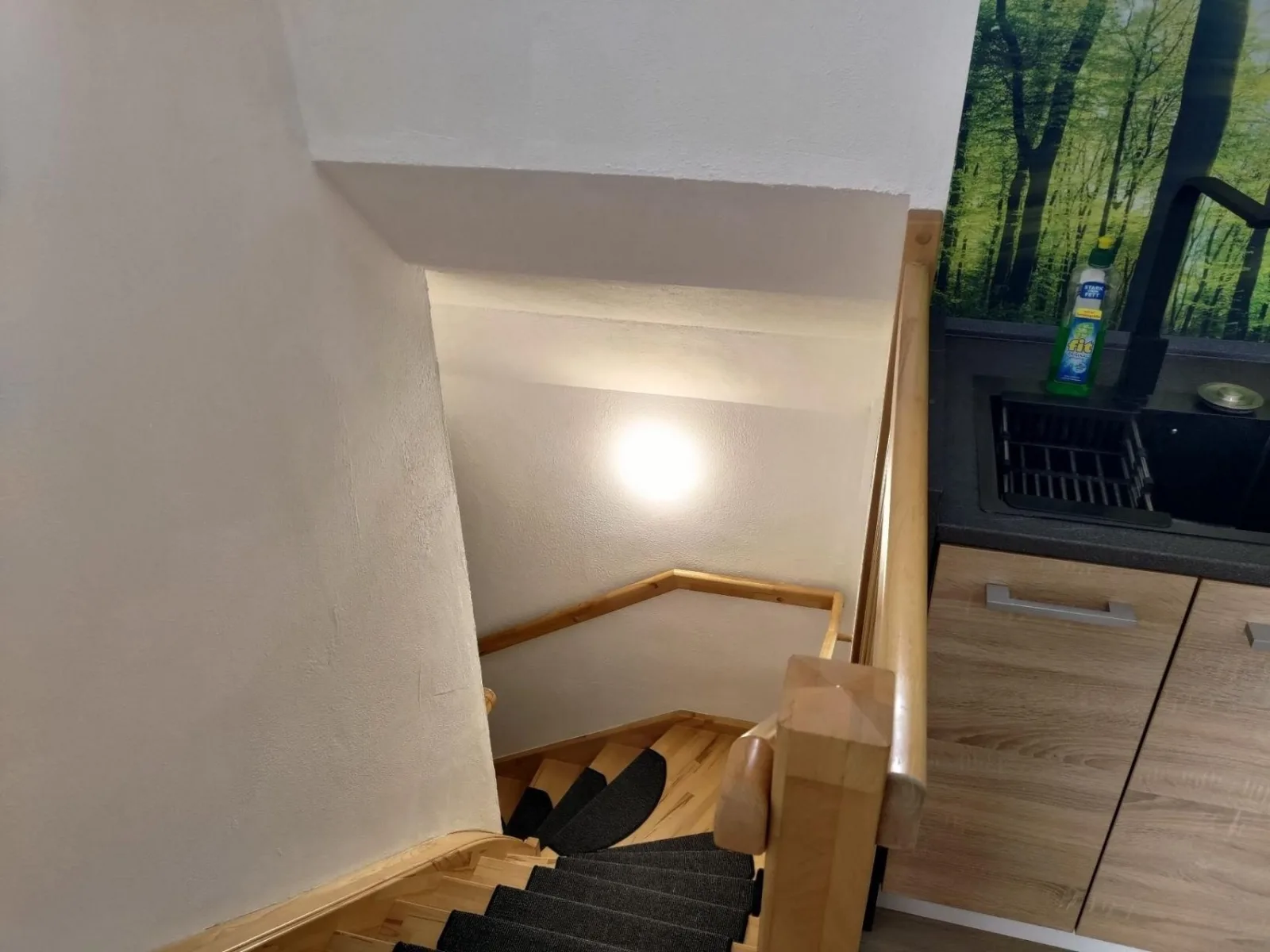 Ferienwohnung am See