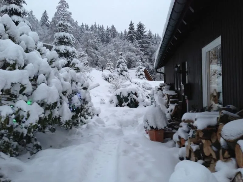Zimmer 1 / Gästezimmer Haus Talblick Lautenthal / Langelsheim