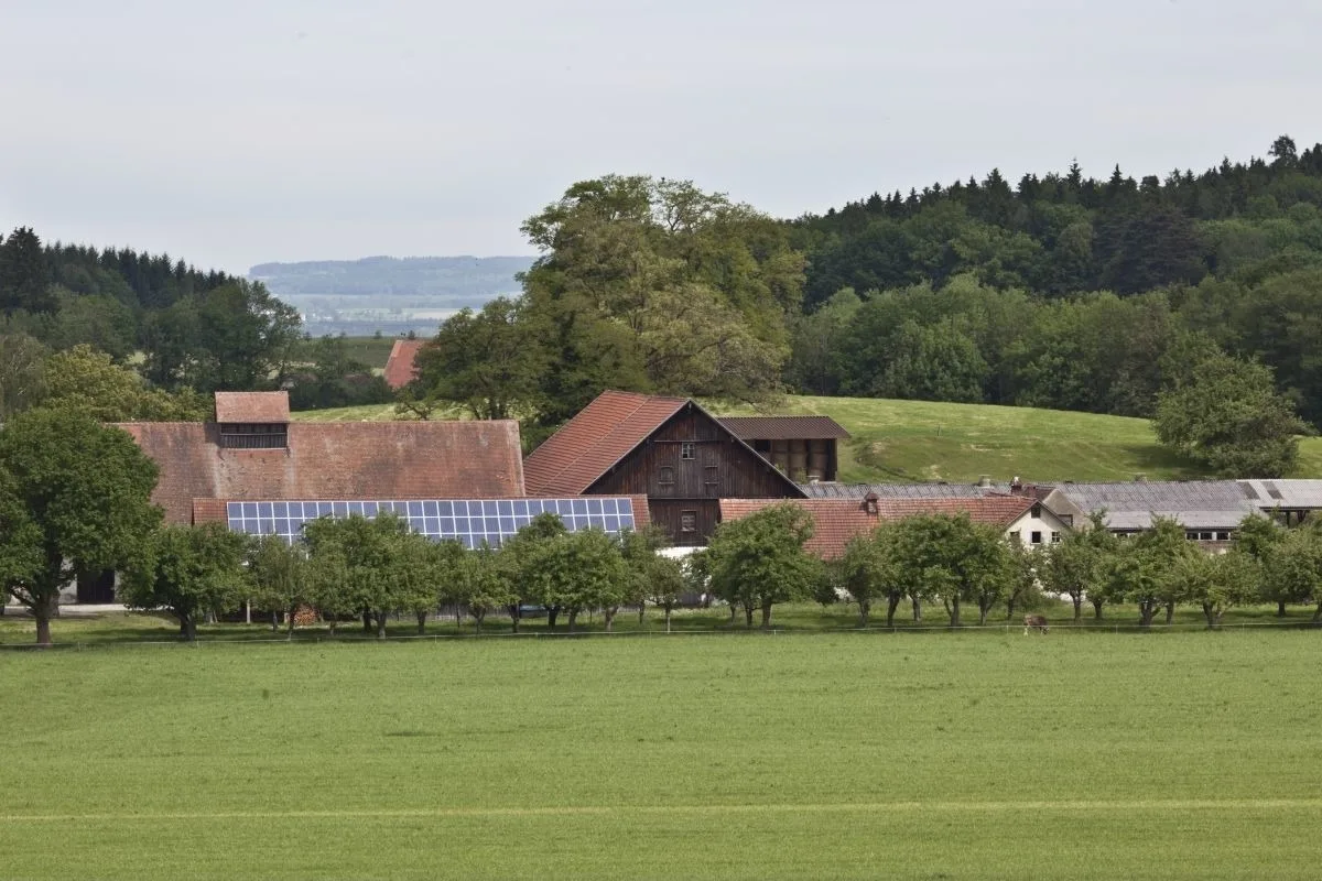 Rösslerhof Ferienwohnung Obstwiese