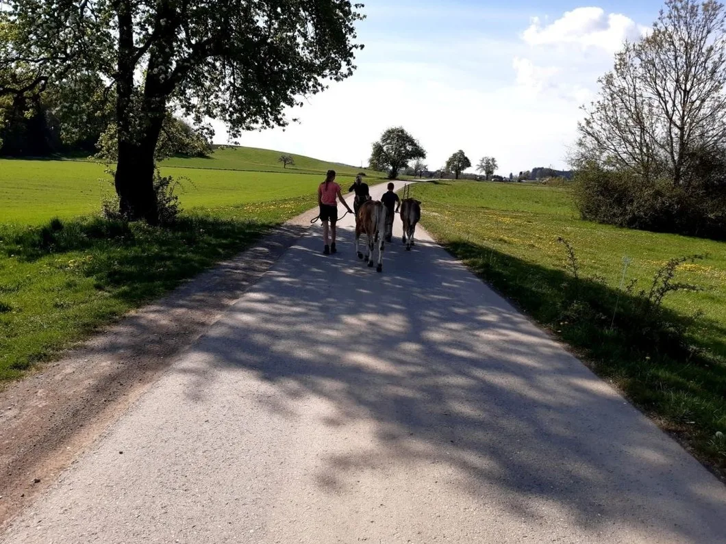 Rösslerhof Ferienwohnung Nachtweide