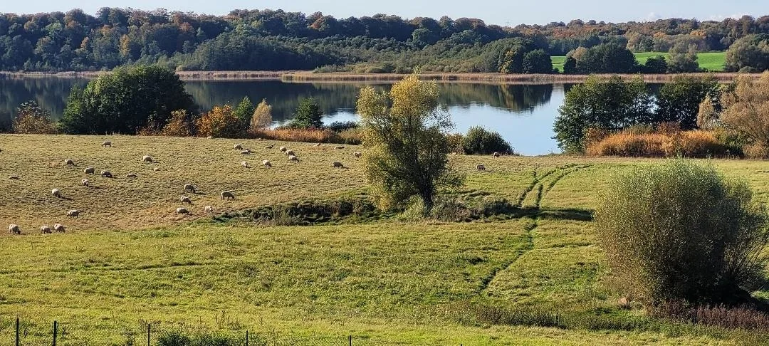 Ferienhaus am See