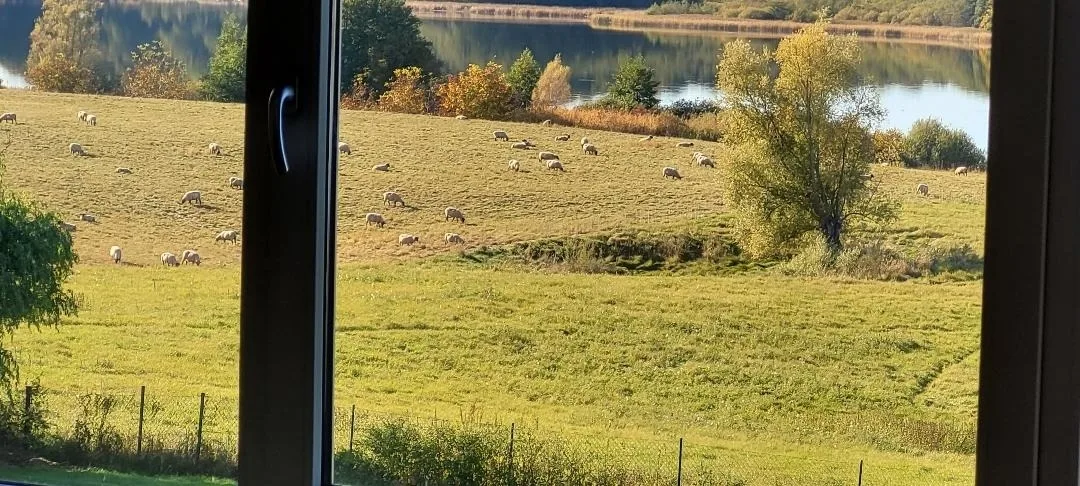 Ferienhaus am See