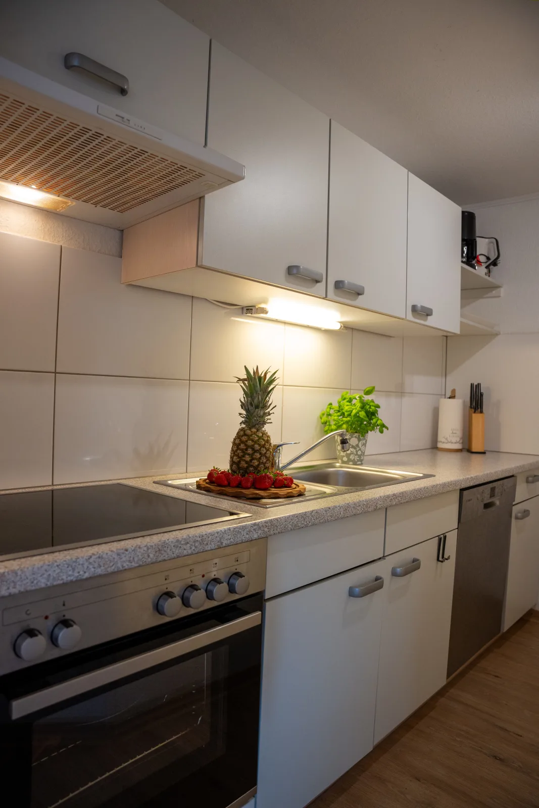 Ferienhof Kruse Wohnung 10