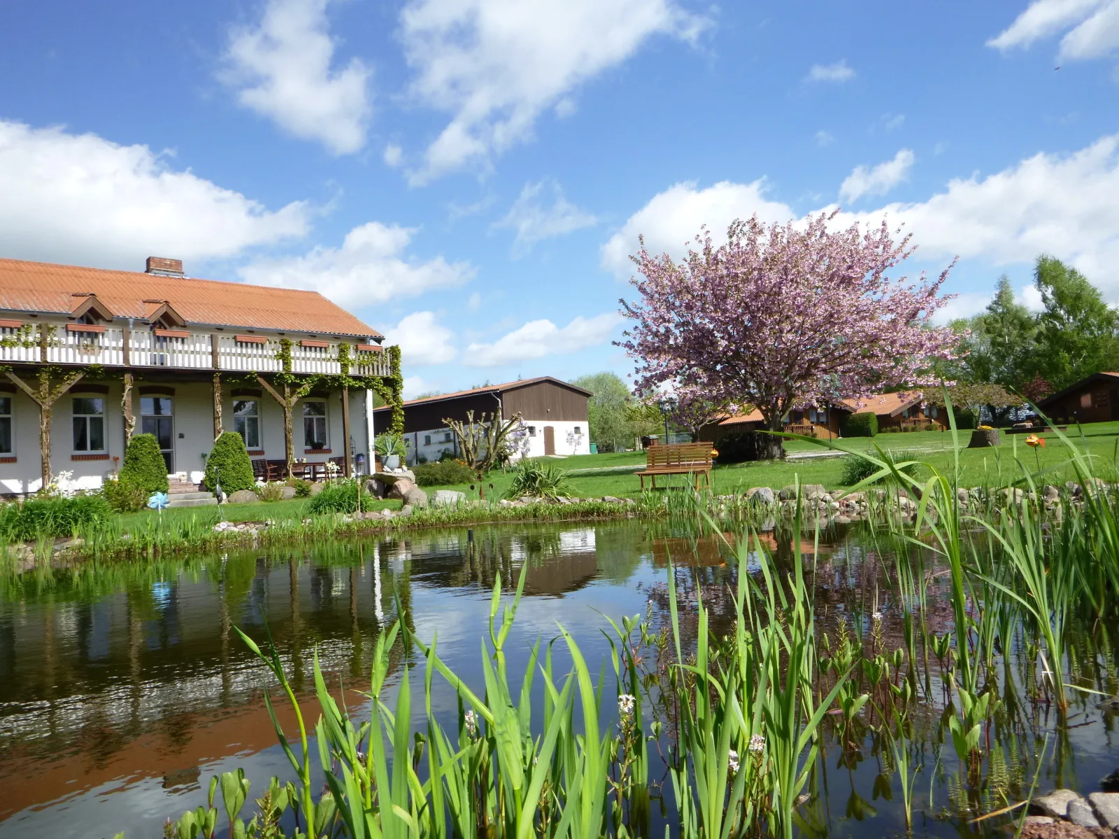 Landhof Kützin Ferienhaus  Fink 5