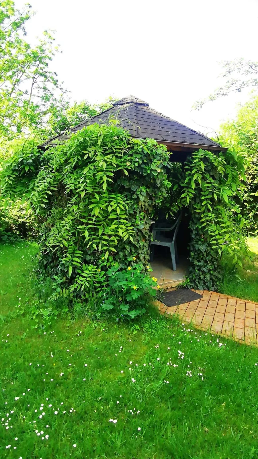 Spreewälder Schwalbenhof - Ferienhaus "Schwalbennest"