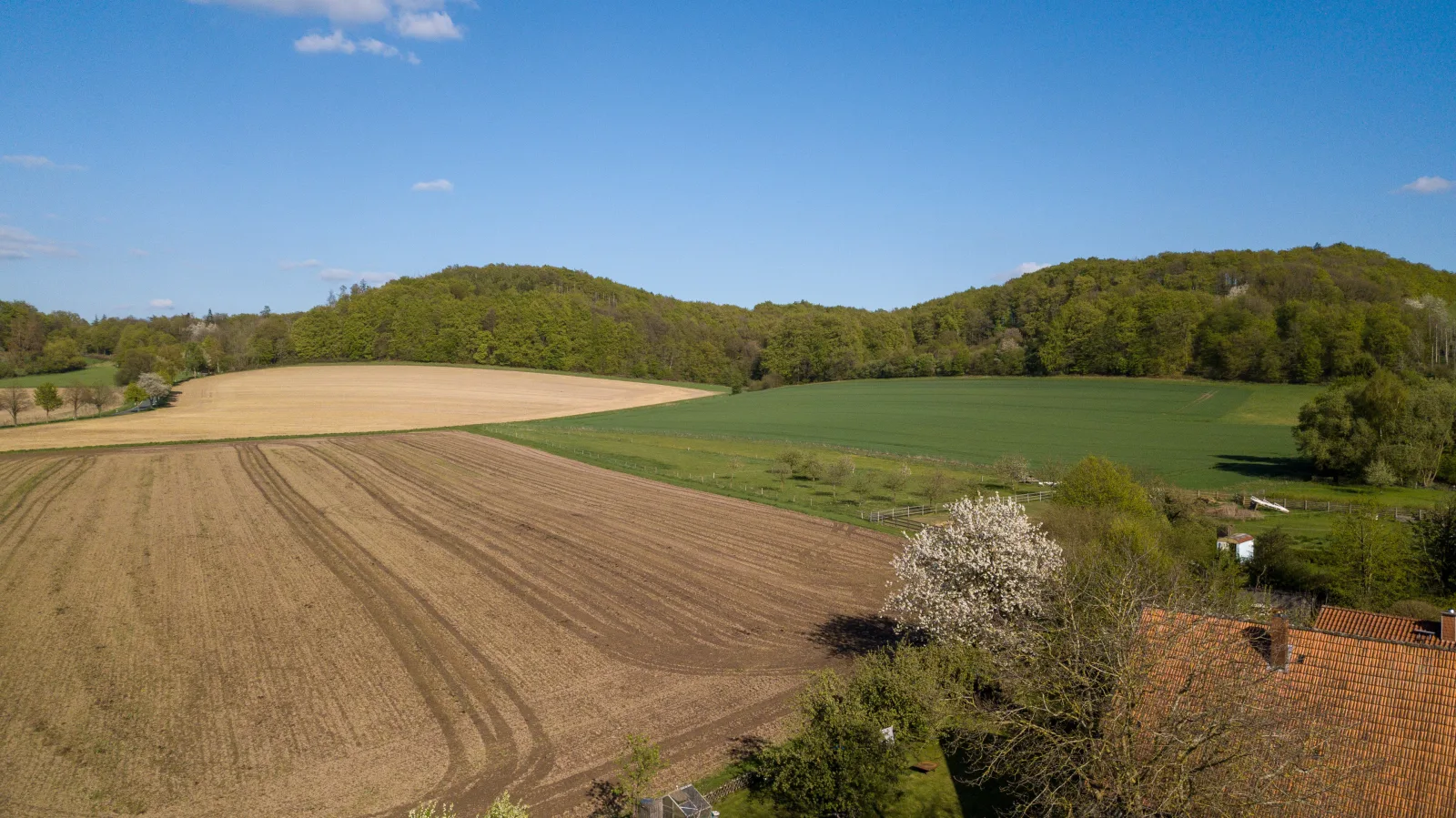 FeWo im Lippischen Bergland
