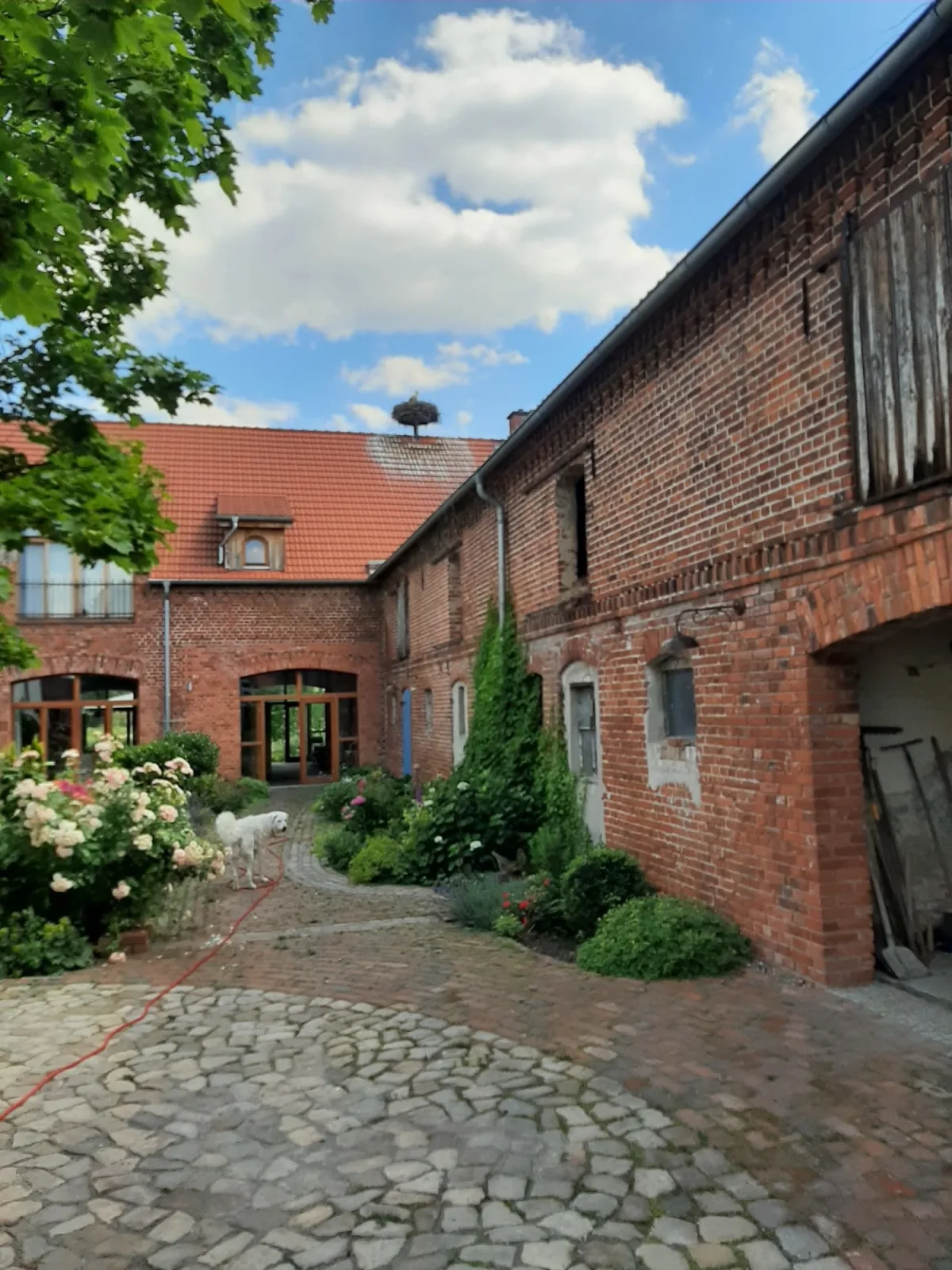Ferienwohnung Storchenblick