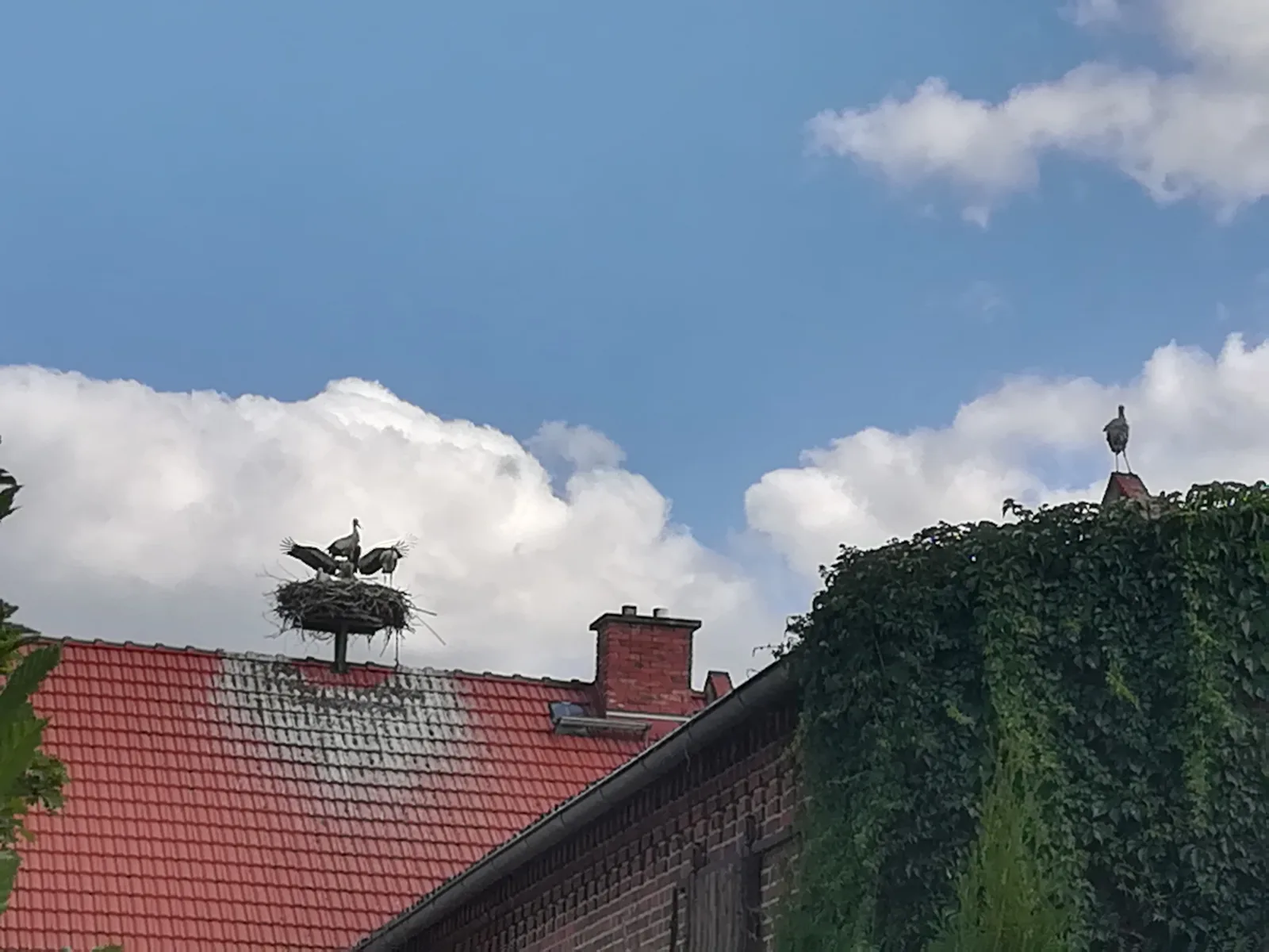 Ferienwohnung Storchenblick