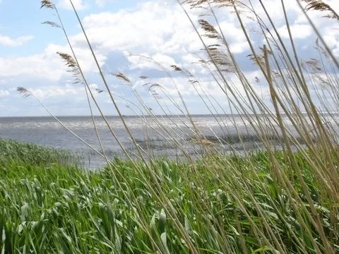 Ferienwohnung A2 im Landhaus am  Haff