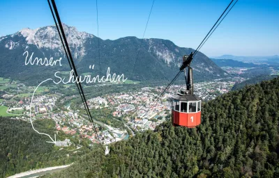 Alpenschwänchen 2 - Salzschwänchen
