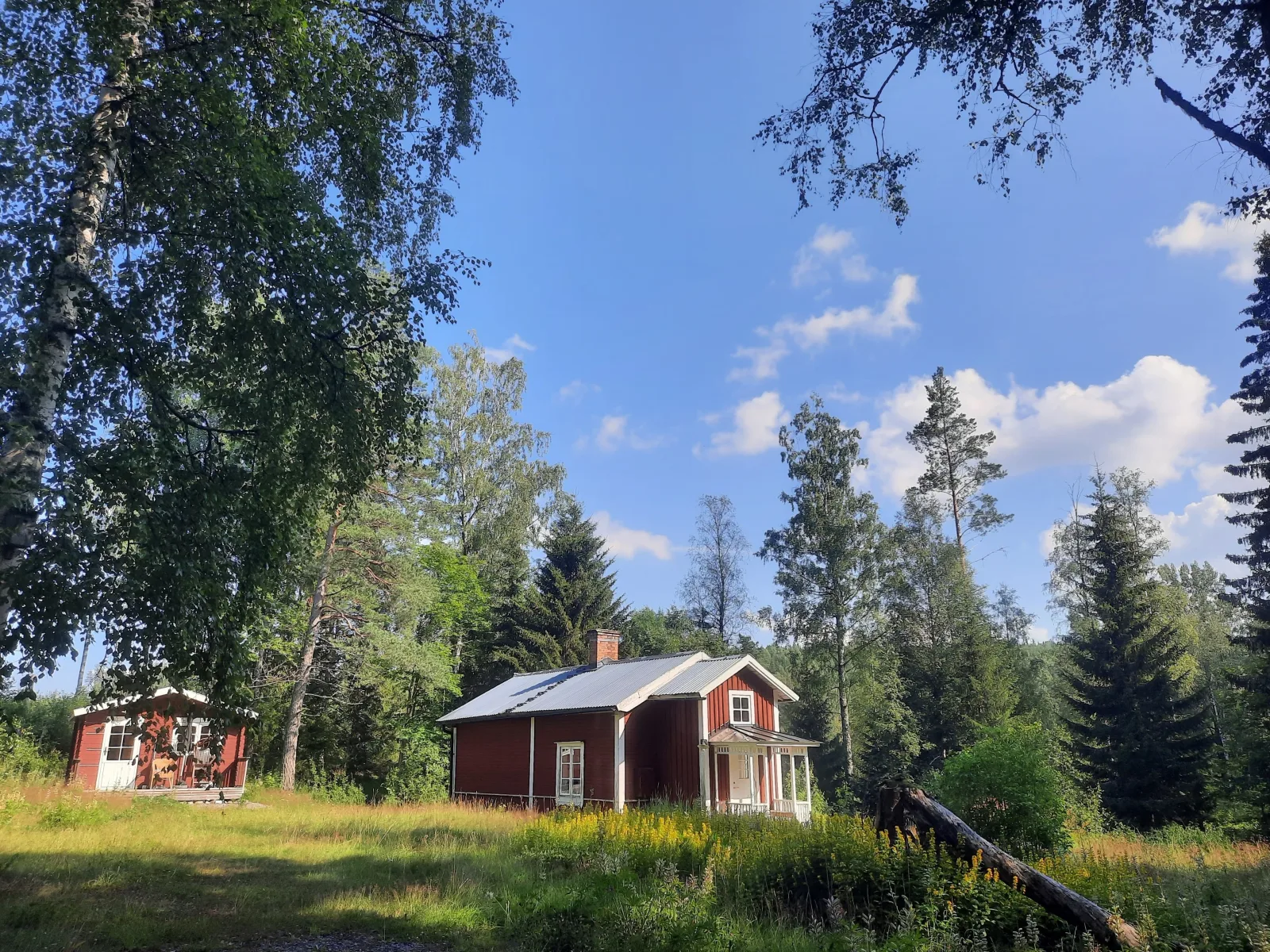 Wunderschönes Feriengrundstück mit Alleinlage im Wald