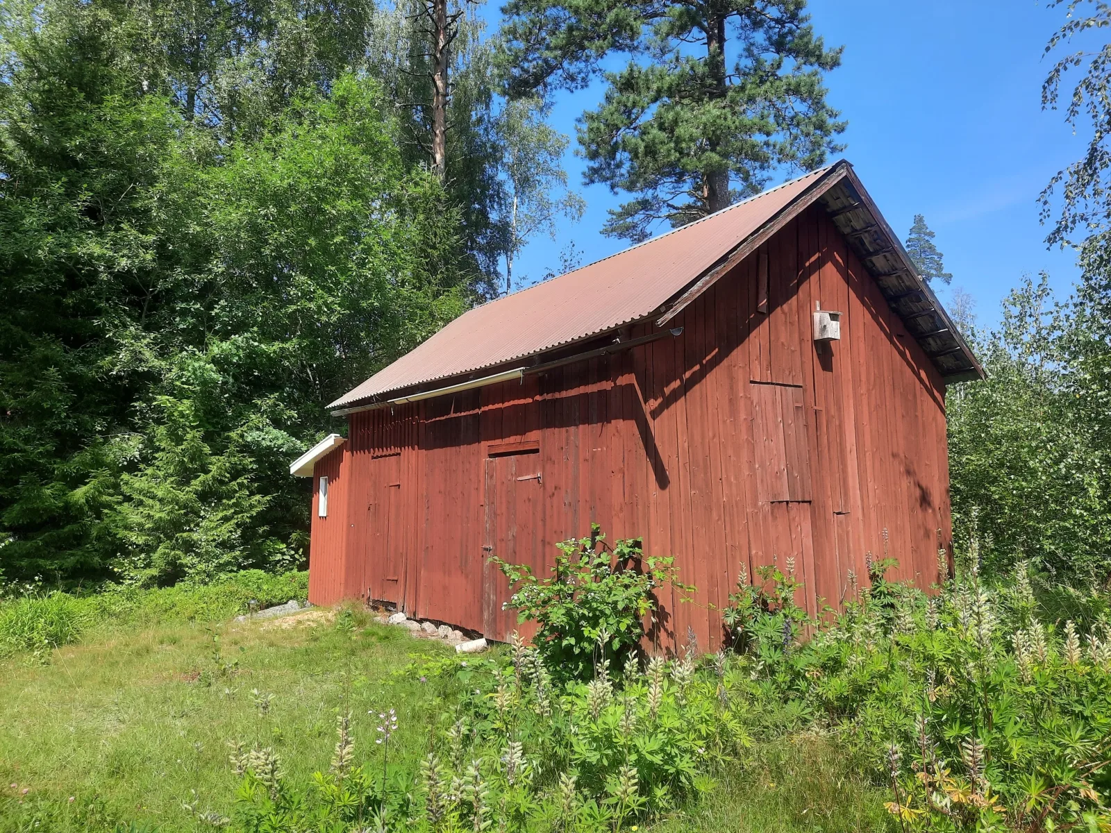 Wunderschönes Feriengrundstück mit Alleinlage im Wald