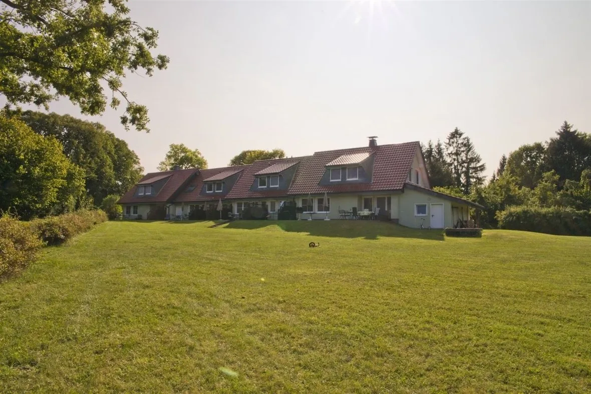 Löwenzahn