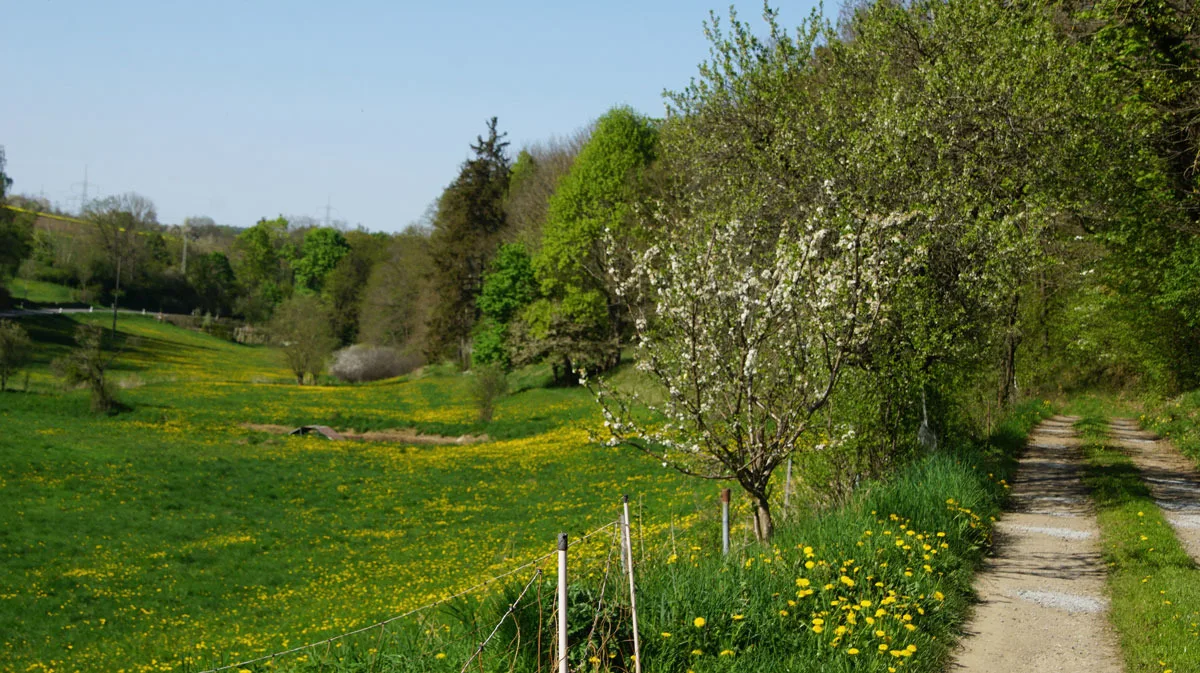 Zum Alten Eselstall