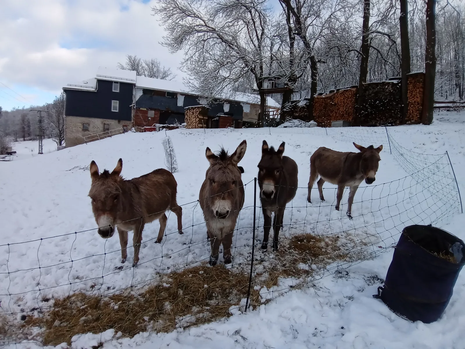 Zum Alten Eselstall