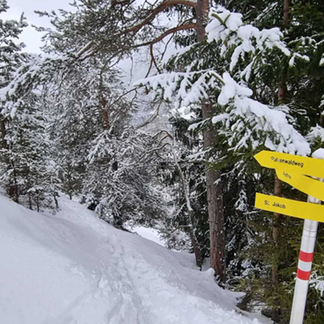 Bergblick Vadiesen