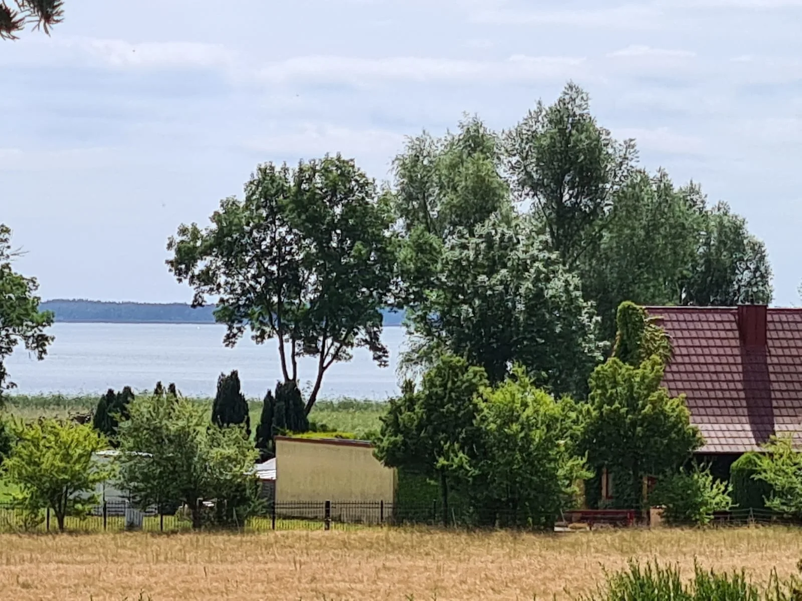 Ferienhaus Köhler Am Achterwasser , Urlaub mit Hund