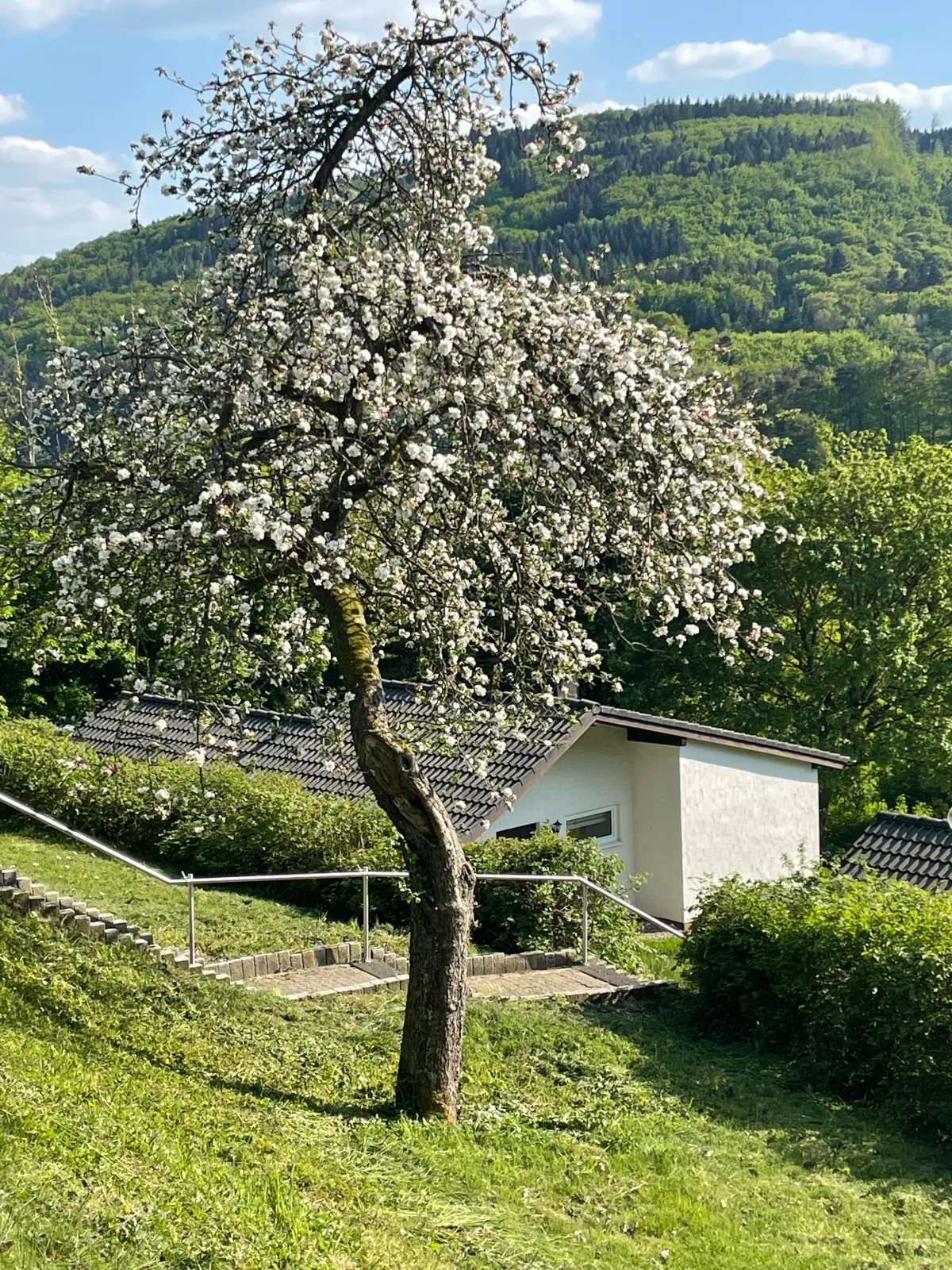 Landhaus am See 934