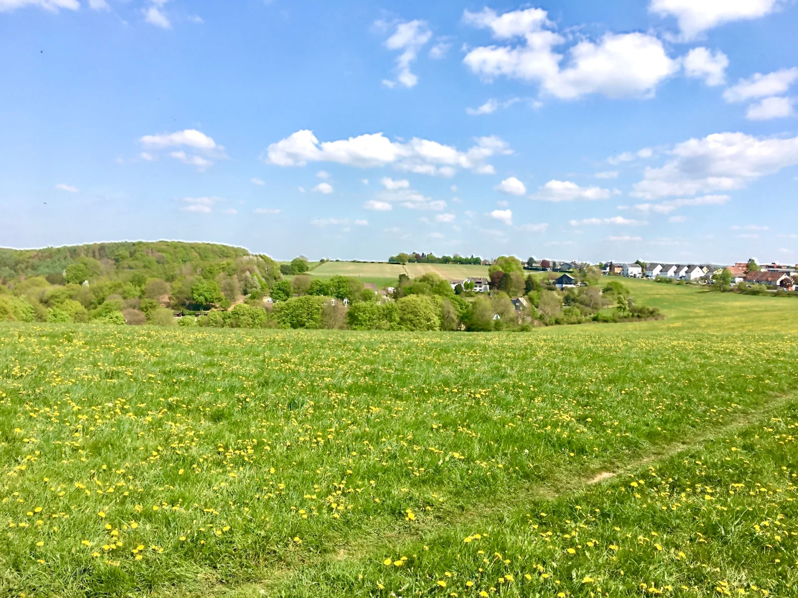 Ferienwohnung Panoramablick