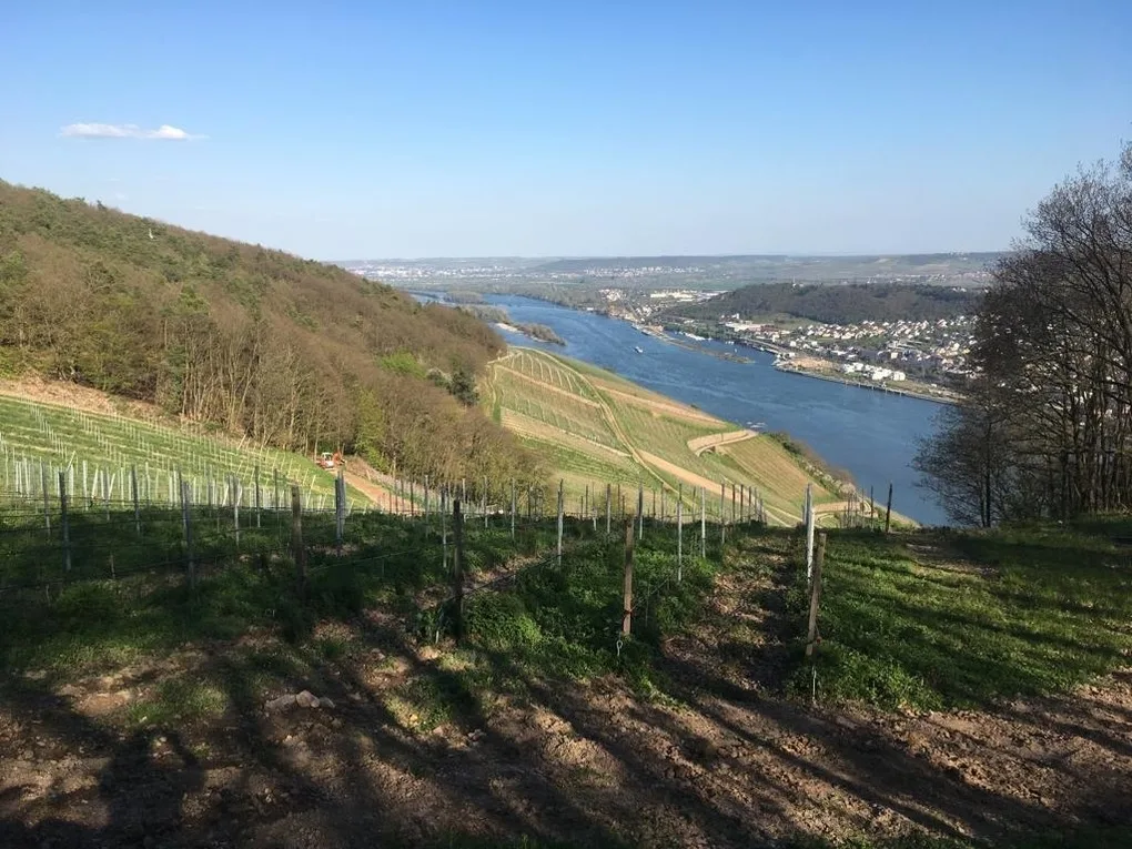 Apartment am Rheinsteig ,privater Vermieter.