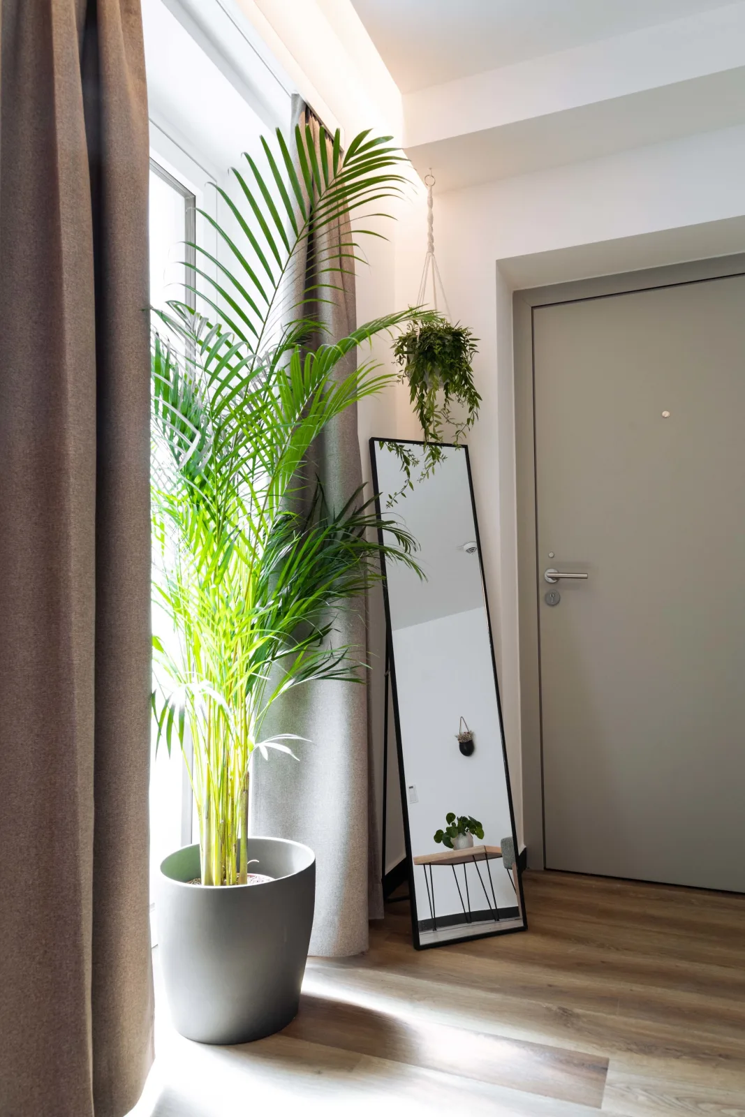 Comfy  Apartment 02 - Urban Jungle Apartment