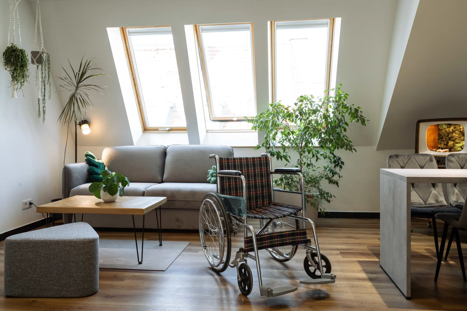 Fancy Apartment 02 DG - Urban Jungle Apartment