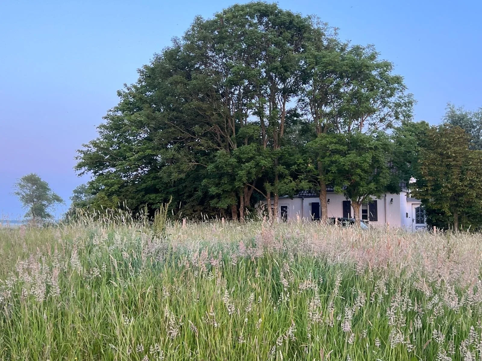 Heverhus