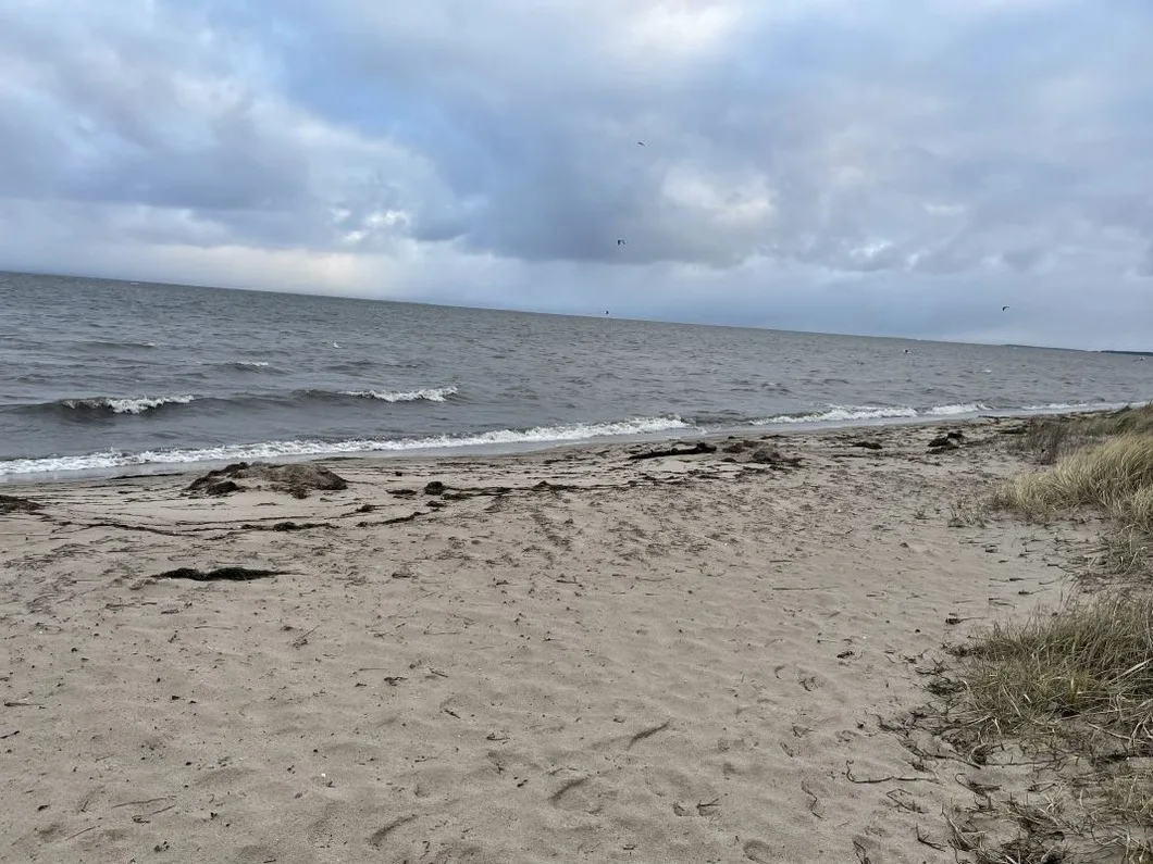 Strandperle 1