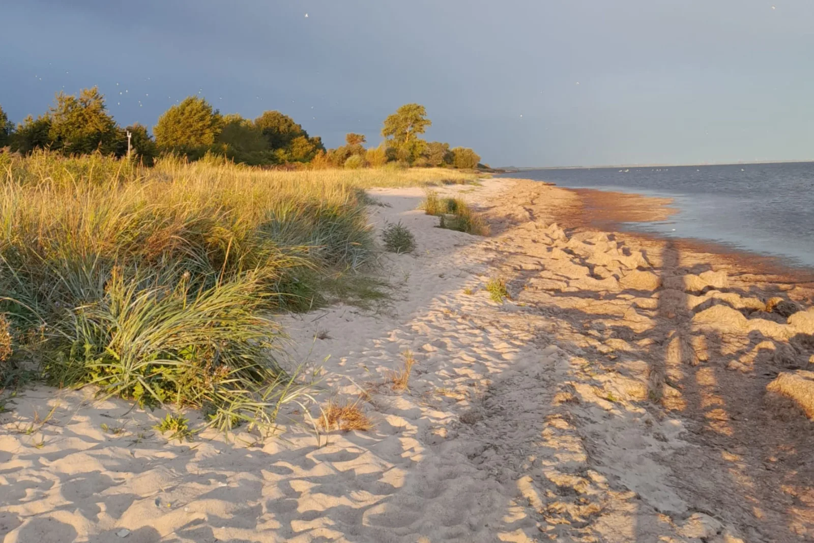 Strandperle 1