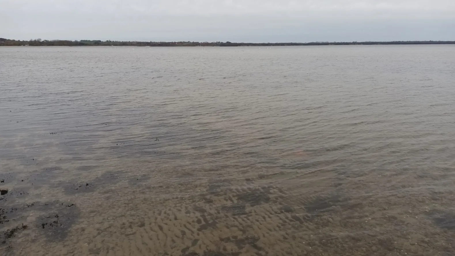 direkt am Wasser ""Küstenperle"mit Meerblick und Sauna