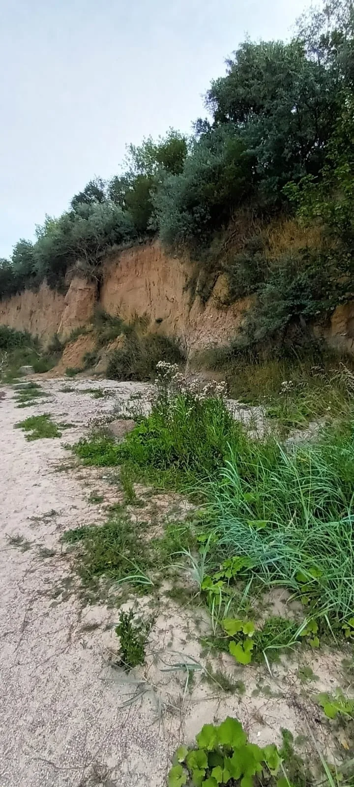 direkt am Wasser ""Küstenperle"mit Meerblick und Sauna