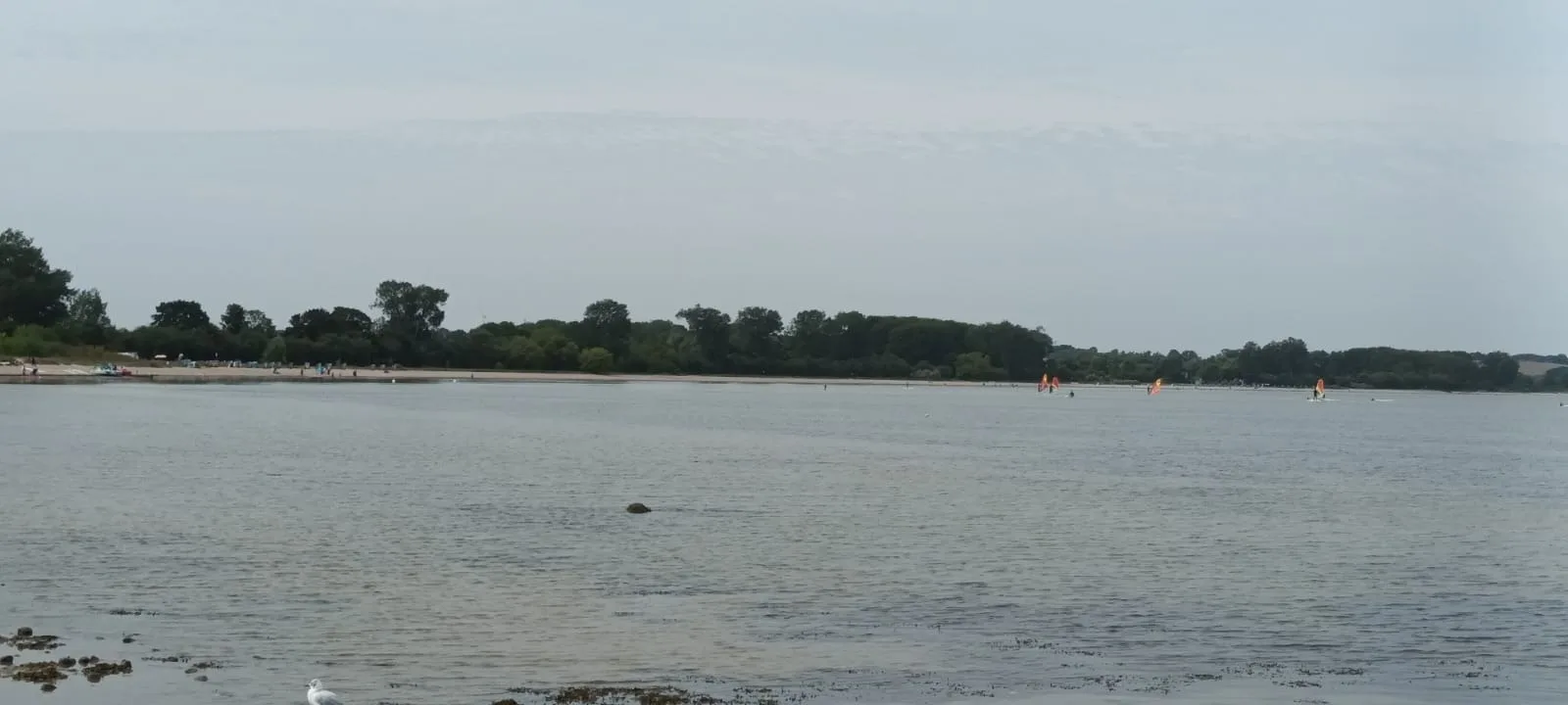 direkt am Wasser ""Küstenperle"mit Meerblick und Sauna