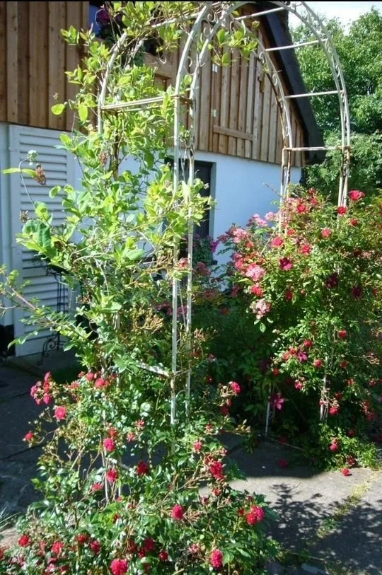 Naturwerk OG