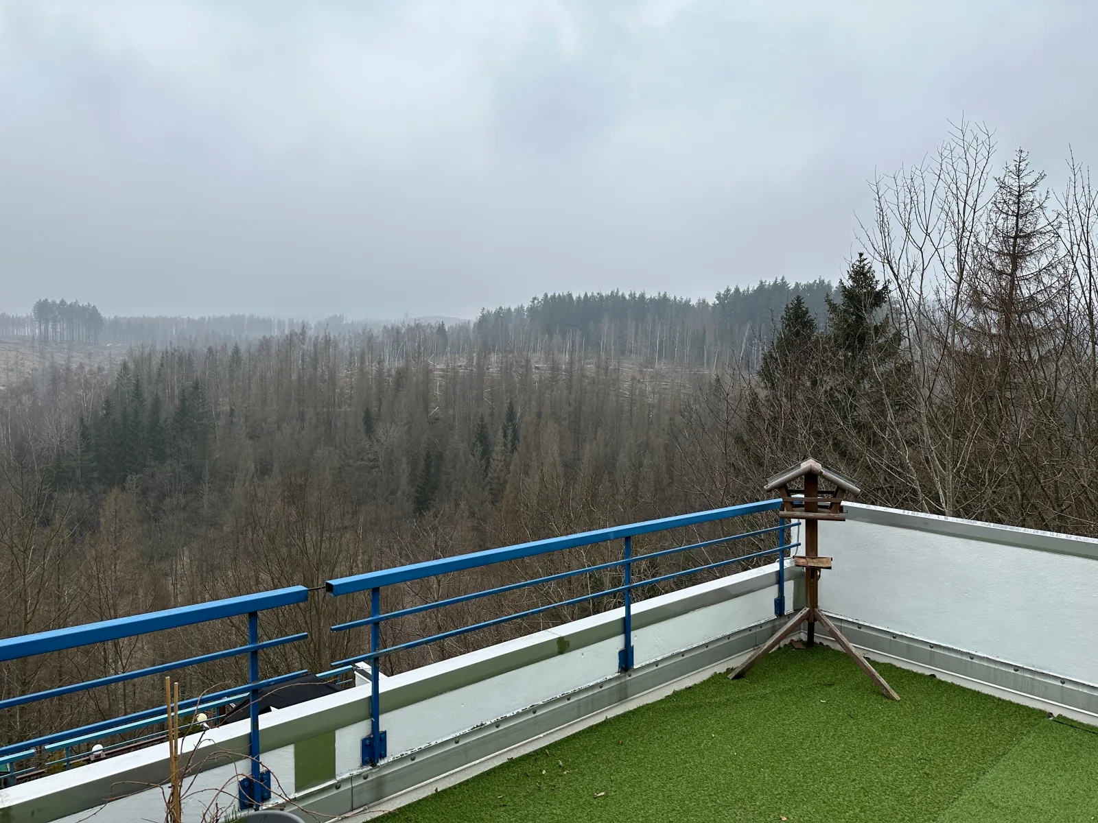 Ferienwohnung Harz #4, Pool, Sauna, WLAN