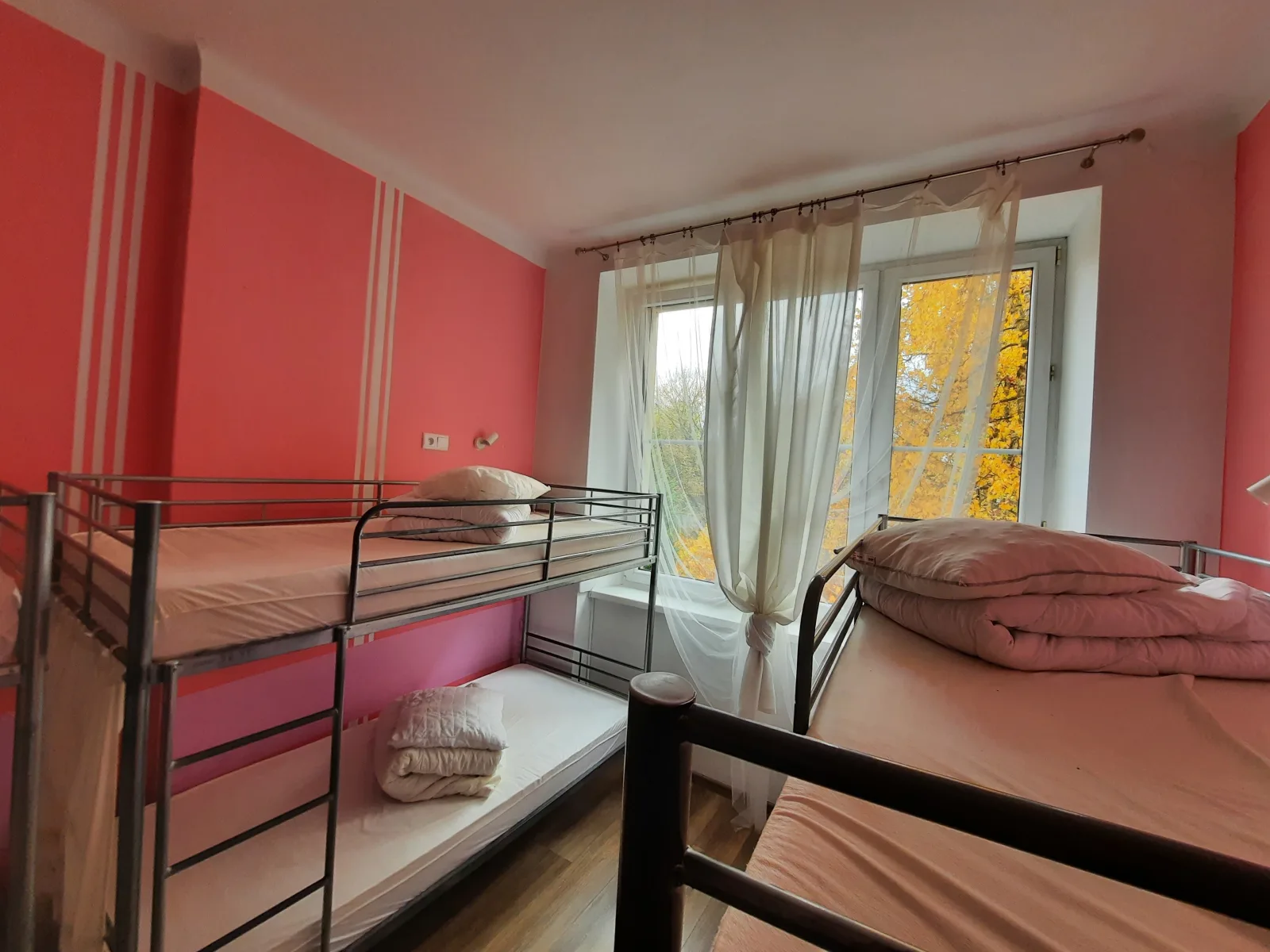 Bed in 6-Bed Female Dormitory Room, Old Town