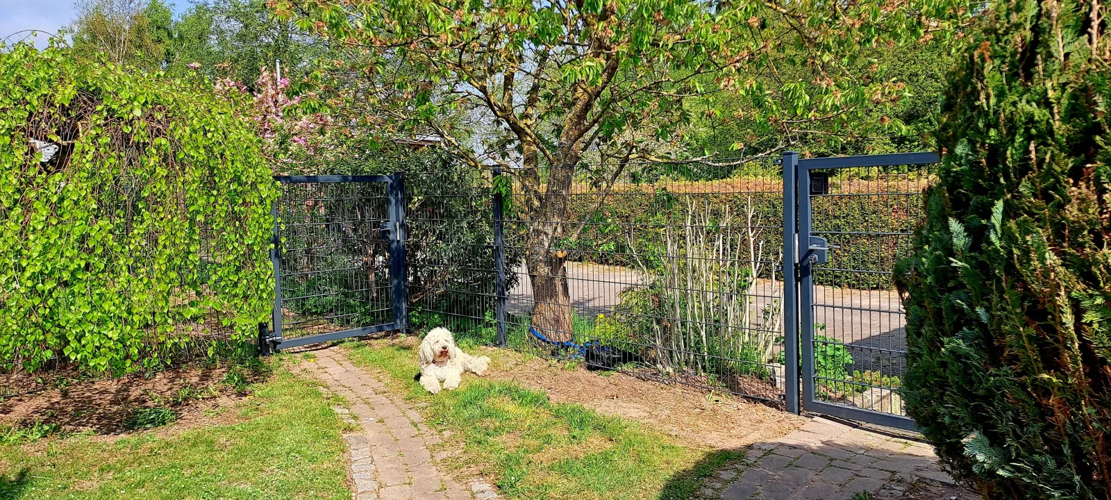 FEWO Sonne