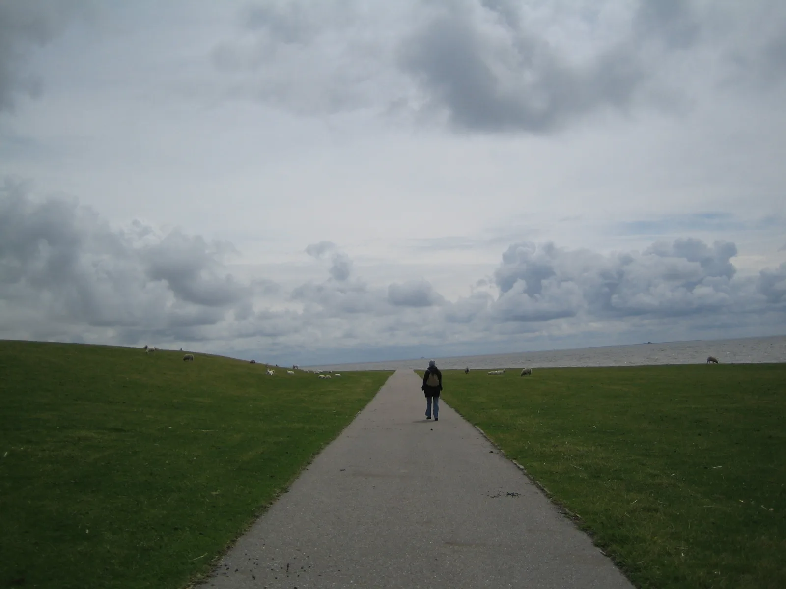 Friesenhaus am Meer