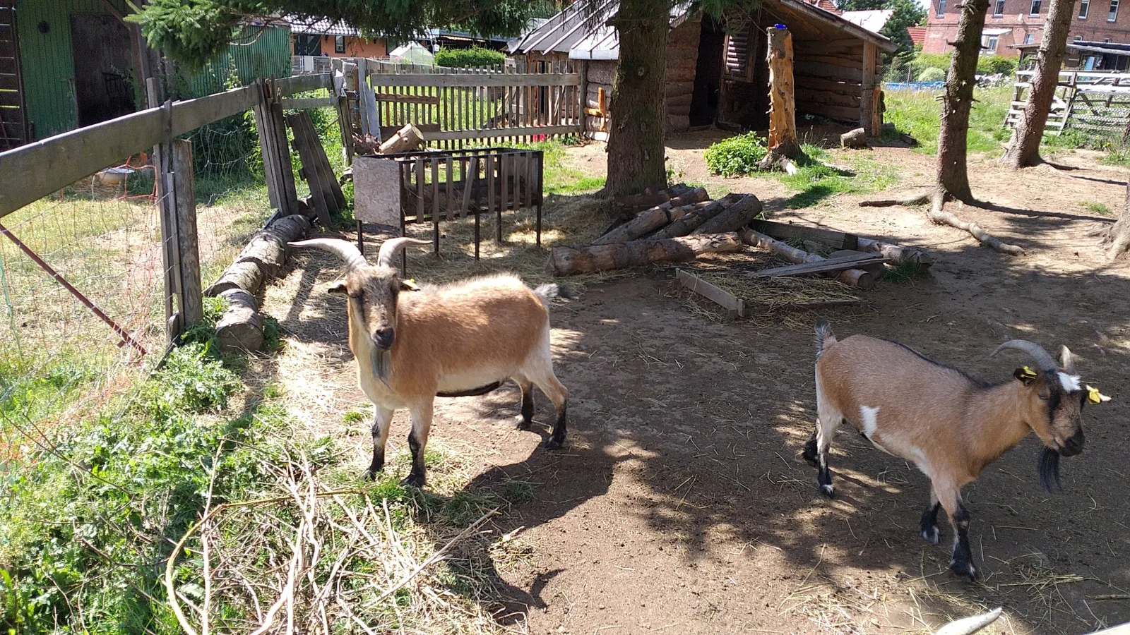 Ferienwohnung Sonnenschein mit kleinem Bauernhof