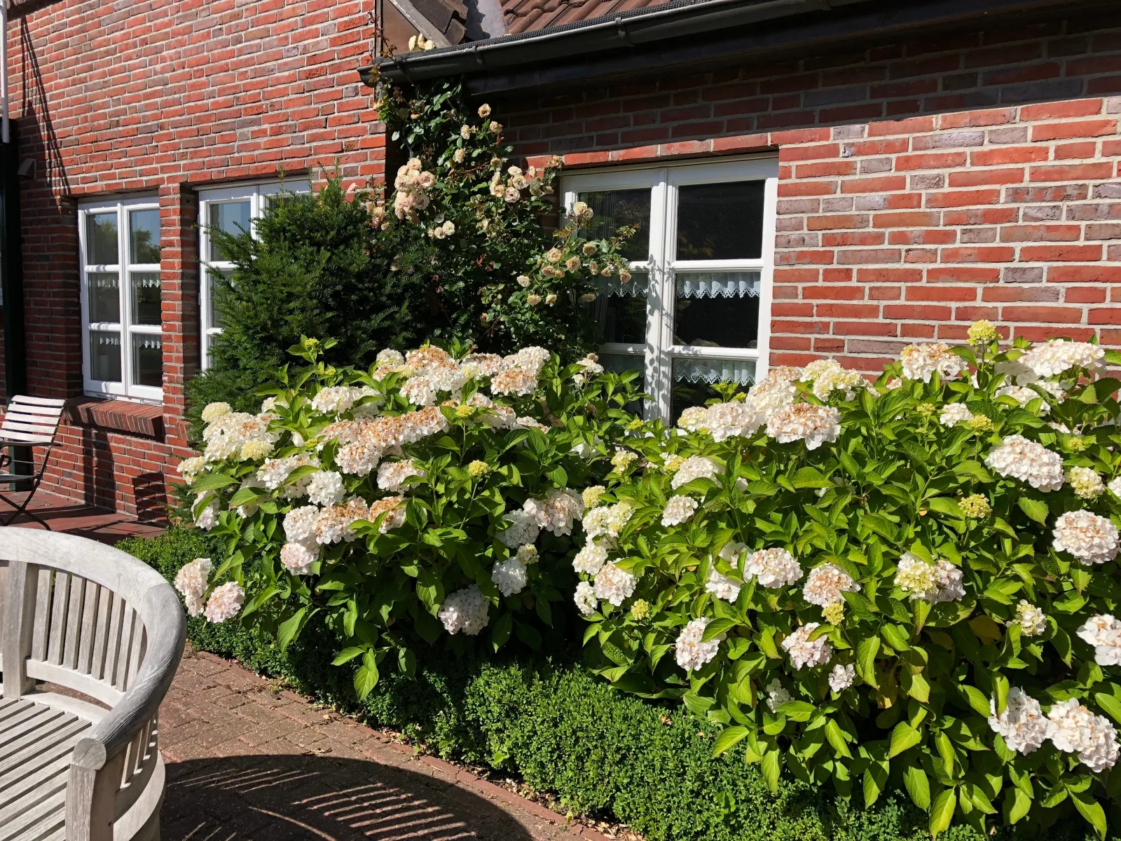 Landhaus Greetsiel am Hafen / "Meeresbrise"
