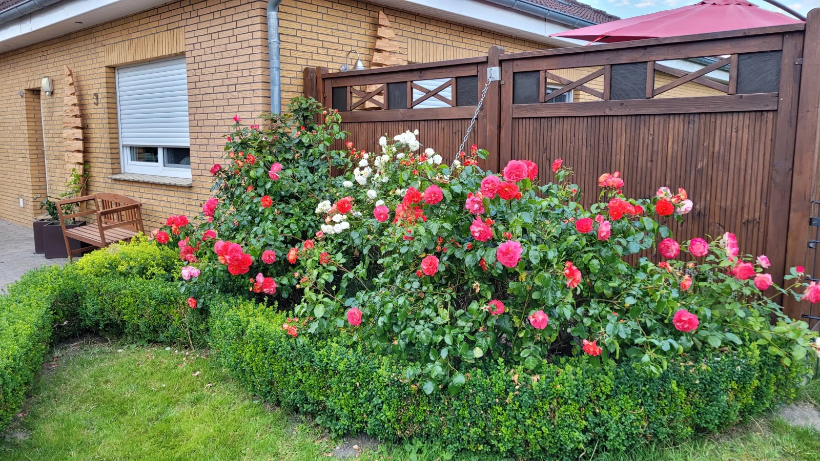 Ostfriesland-to-huus