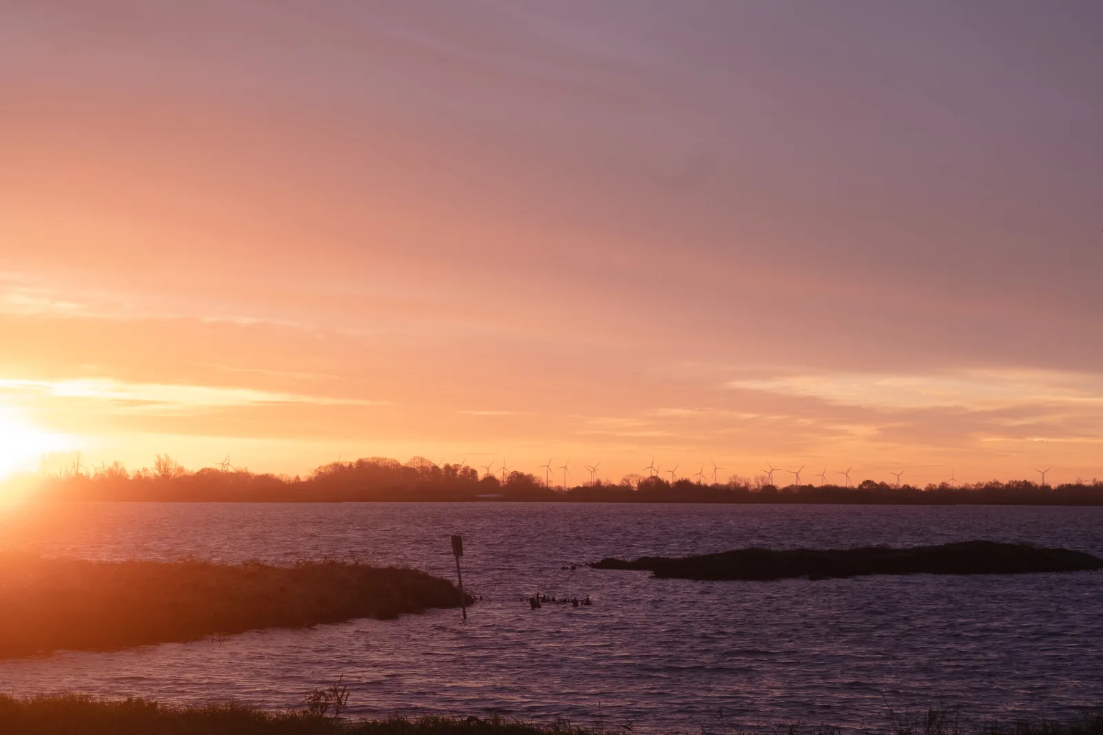 Ostfriesland-to-huus
