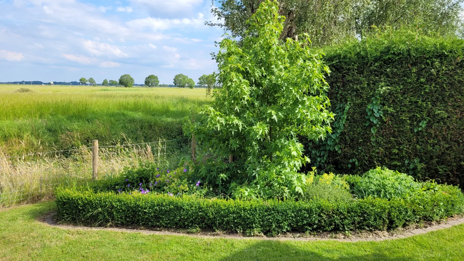 Ostfriesland-to-huus