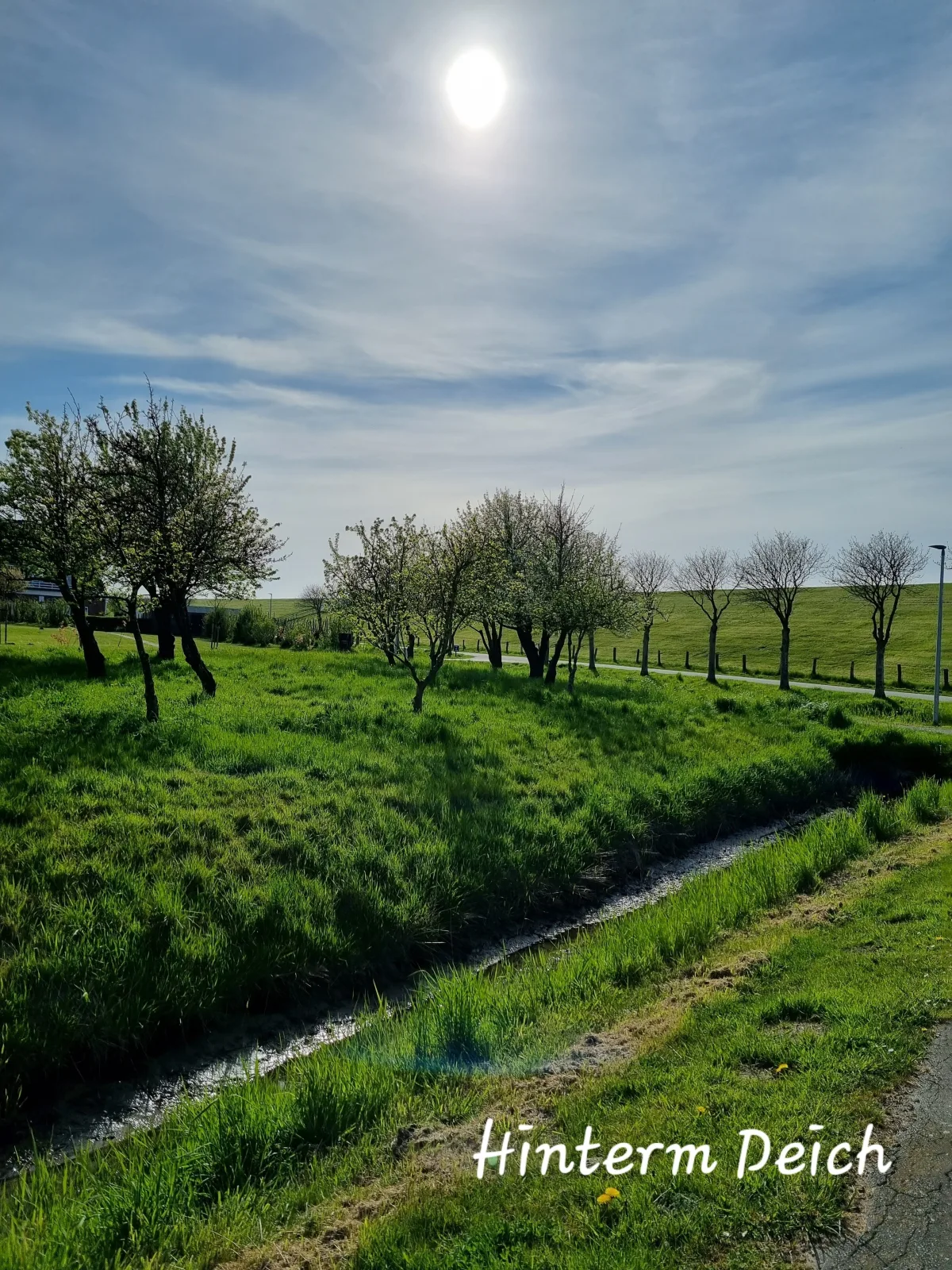 Ferienhaus Norderpiep 54°