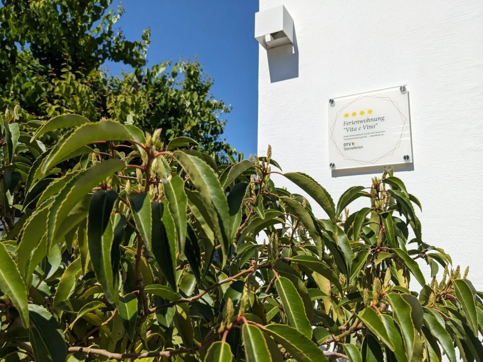 Ferienwohnung "Vita e Vino"