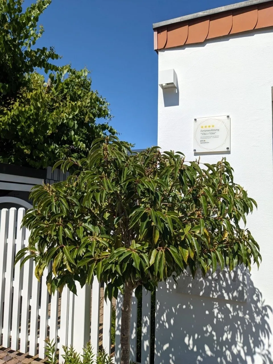 Ferienwohnung "Vita e Vino"
