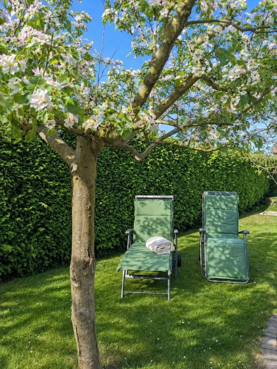 Ferienwohnung "Vita e Vino"