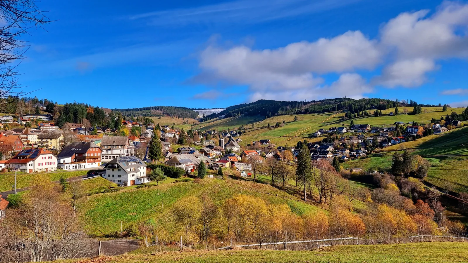 "Schwarzwaldblick" Ferienwohnung 2-4 Pers. (65qm), schöne ruhige Südhanglage mit herrl. Aussicht