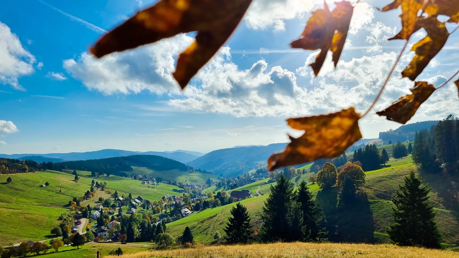 "Schwarzwaldblick" Ferienwohnung 2-4 Pers. (65qm), schöne ruhige Südhanglage mit herrl. Aussicht