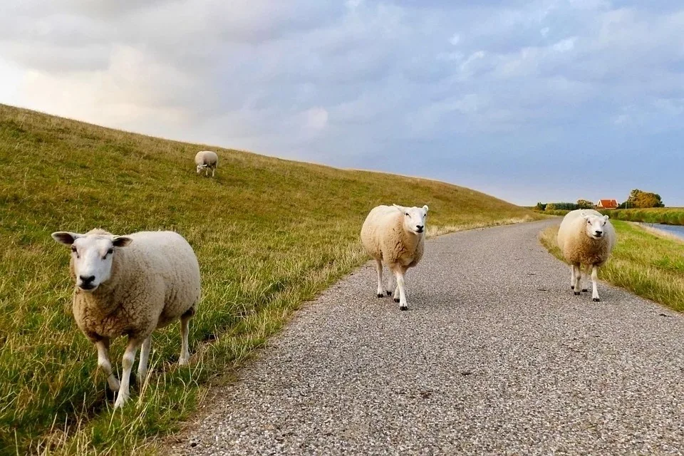Barreirefreie FeWo in Ostfriesland